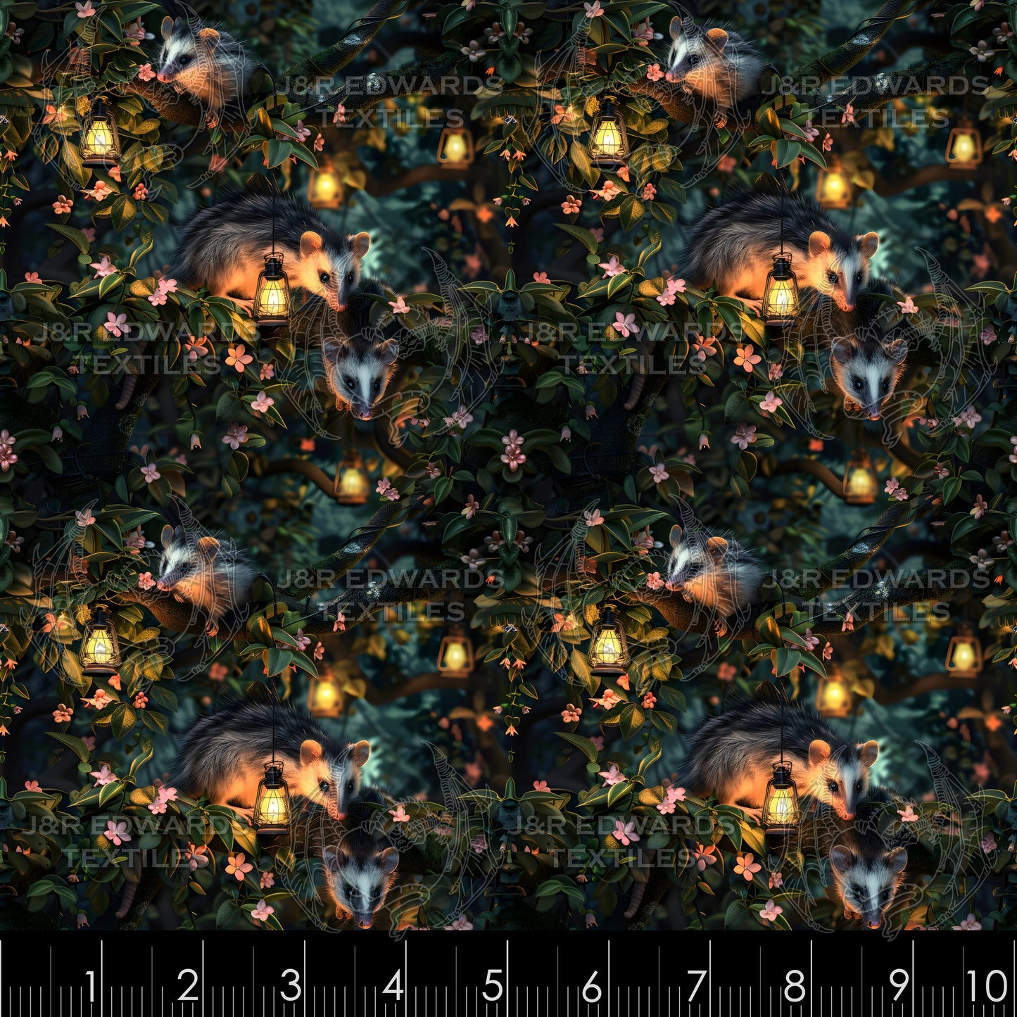 Opossum's Dream
