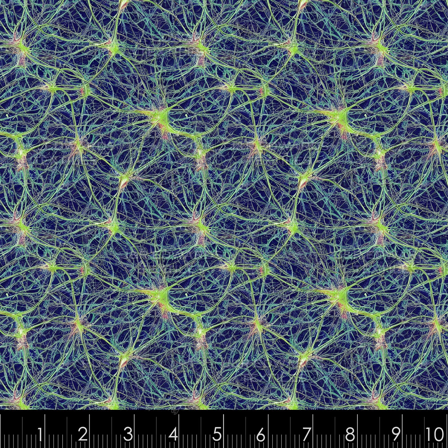 Synapse