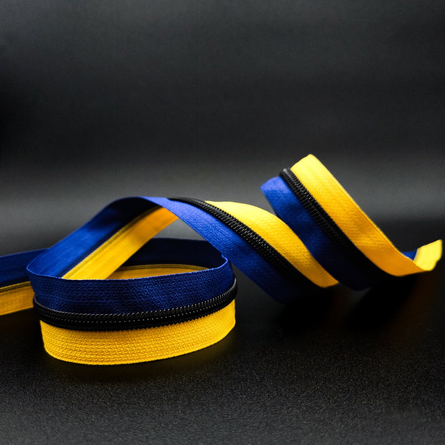 Salty Two Toned Zipper Tape