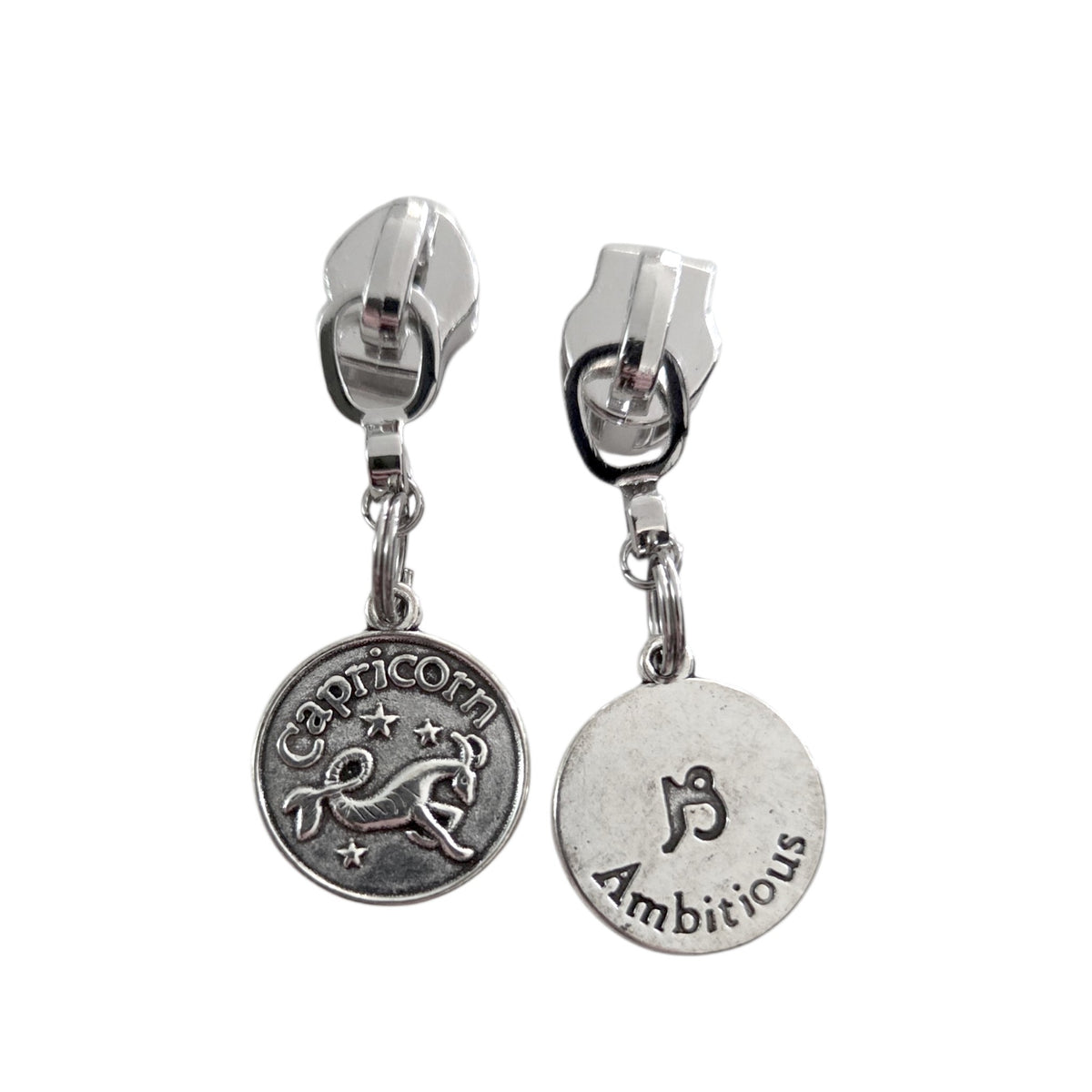 Zodiac Series Zipper Pull