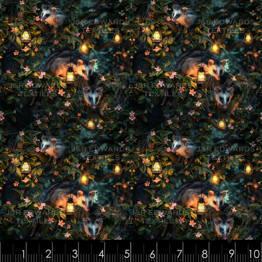 Opossum's Dream