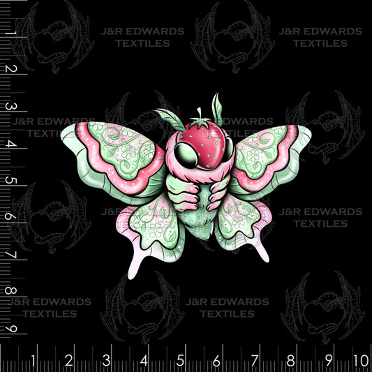 Panel Berry Moth