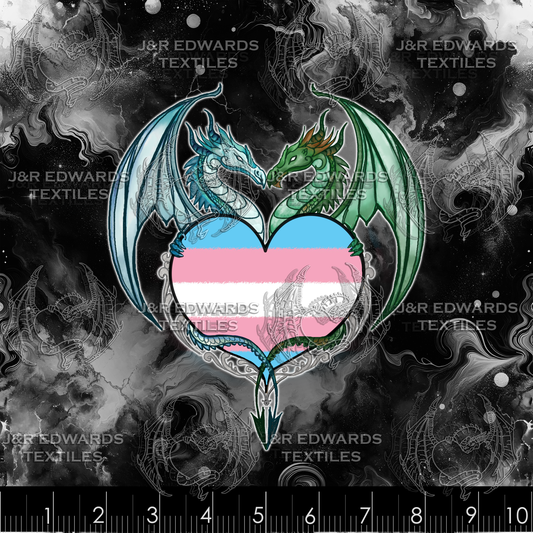 Panel Pride Dragons Transgender