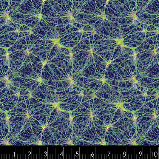 Synapse