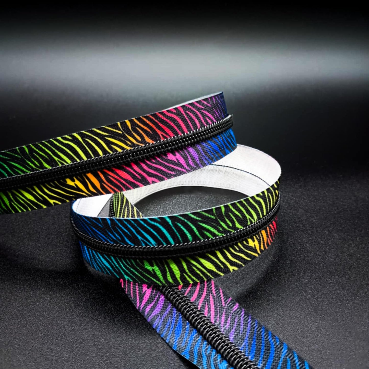 Rainbow Zebra Zipper Tape